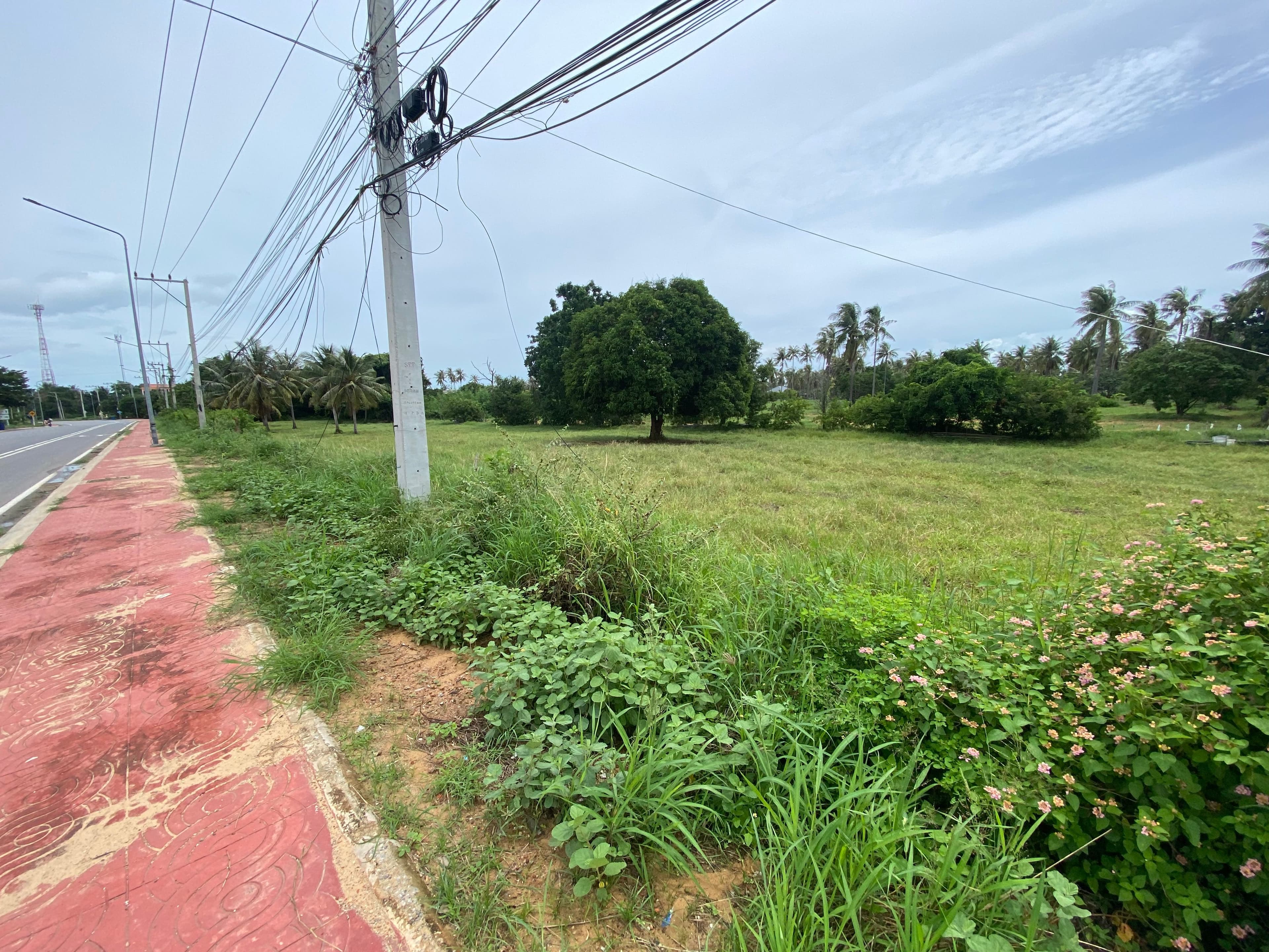 ขายที่ดิน ปราณบุรี ประจวบ ติดถนน หน้ากว้างมาก ราคาถูก ห่างทะเล 1 กิโล