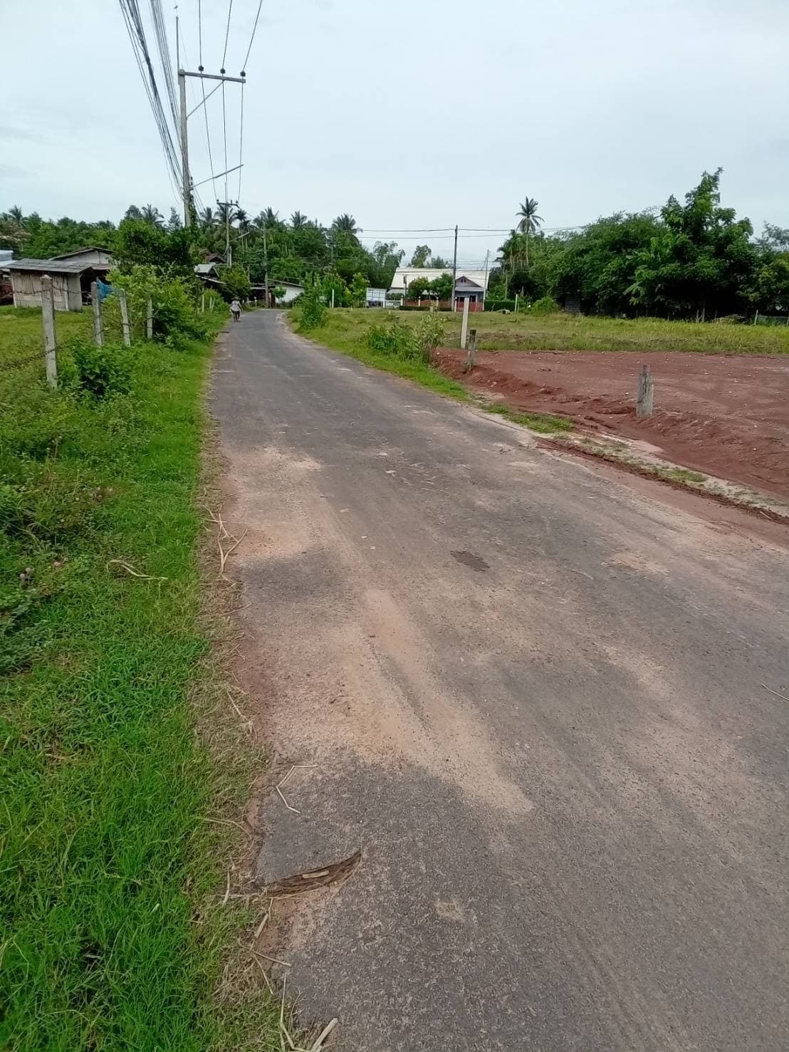 ขายที่ดิน ที่เปล่าแปลงสวย เมืองสุรินทร์ 0-1-18.3