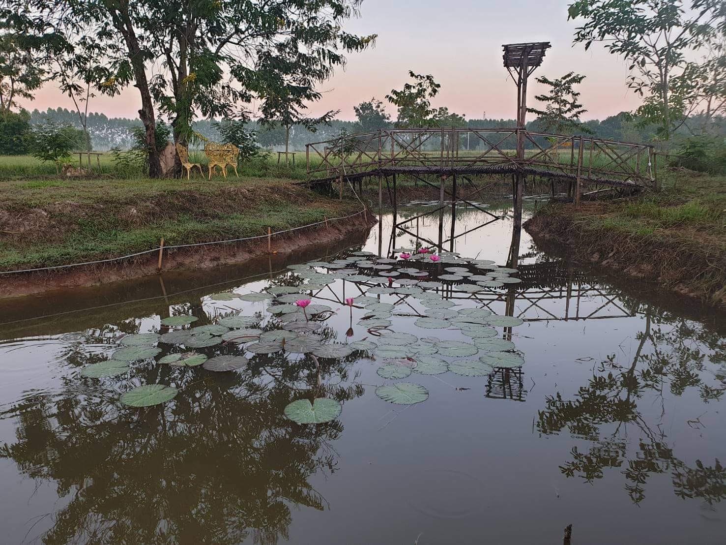 ขายร้านอาหารสระบุรี วิหารแดง 6-0-42