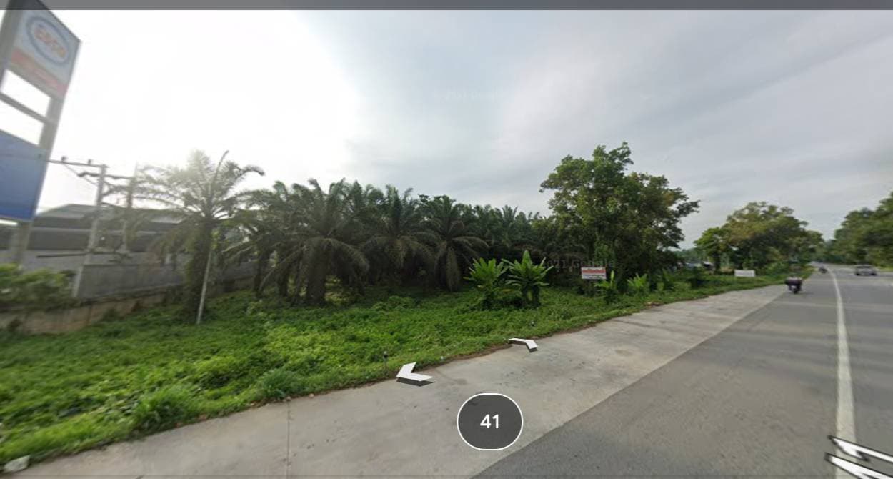 ขายที่ดิน สุราษฎร์ธานี 4-2-53.6 ไร่