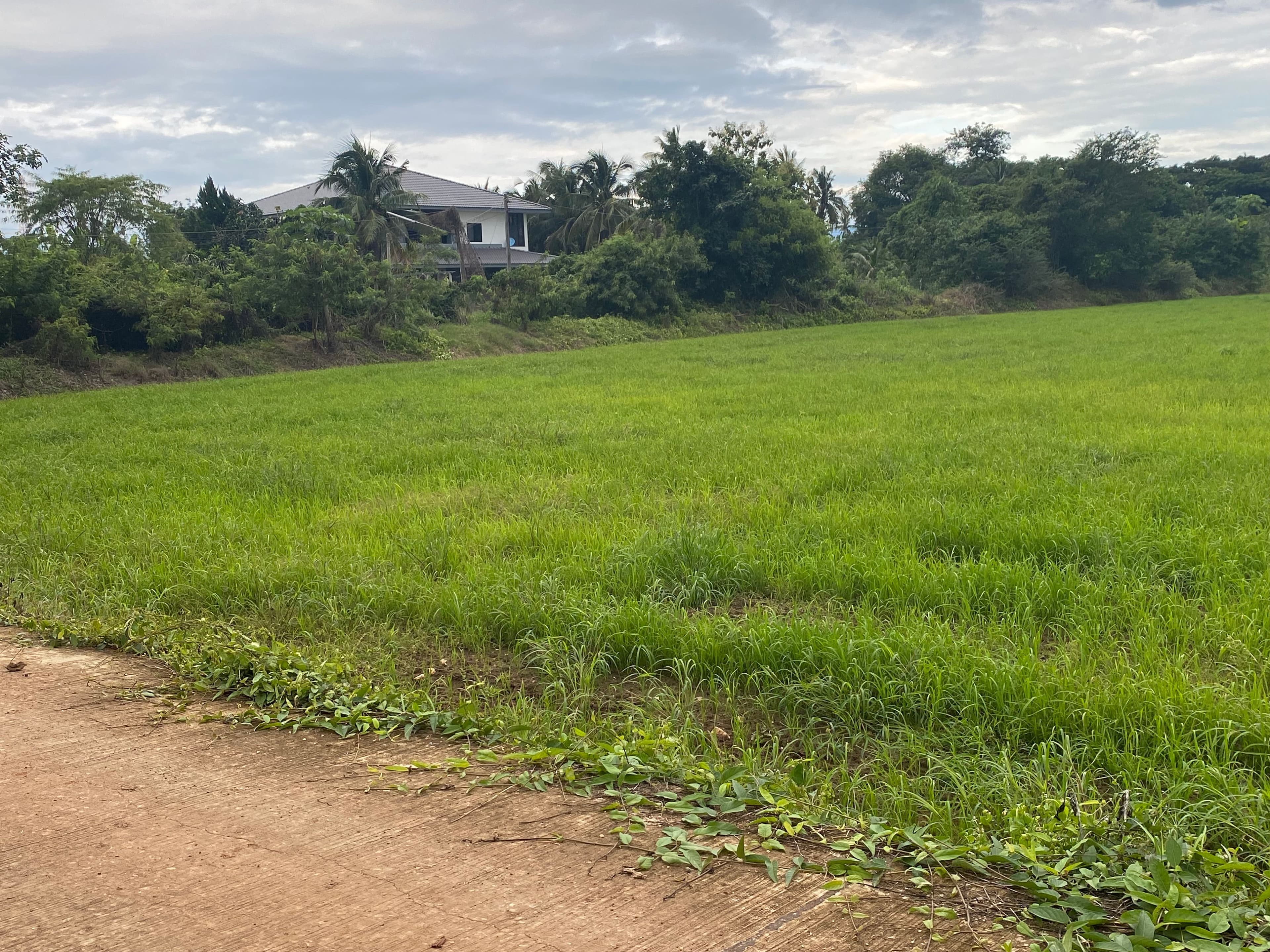ขายที่ดินเพชรบูรณ์ อำเภอเมือง  ทำเลดี