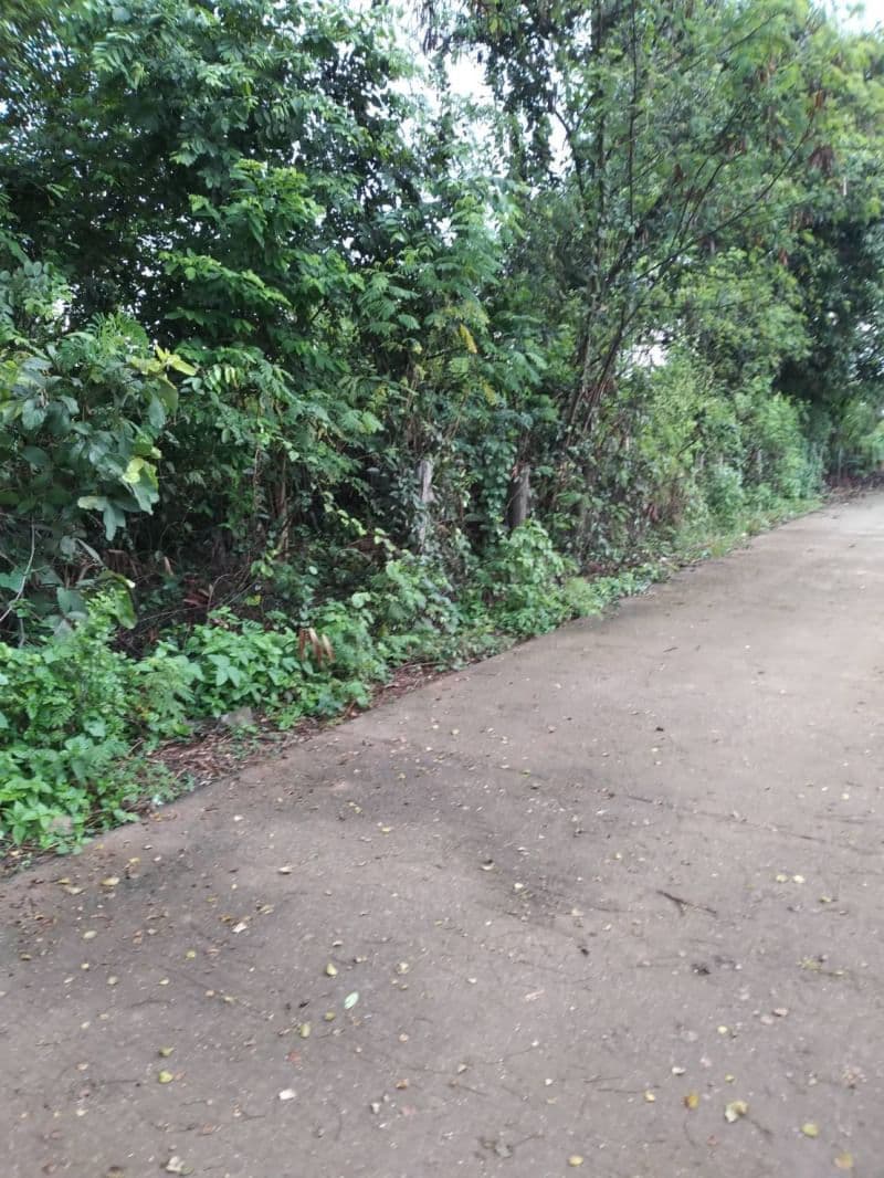 ขายที่ดินอุดรธานี 0-1-0