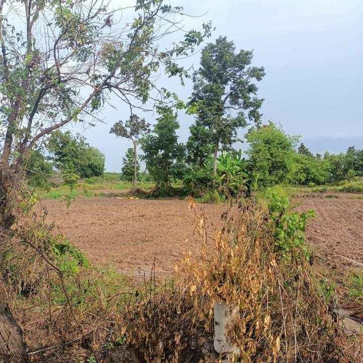 ขายที่ดิน พร้อมบ้านไม้ อำเภอเพ็ญ จังหวัดอุดรธานี 5-1-28 ไร่