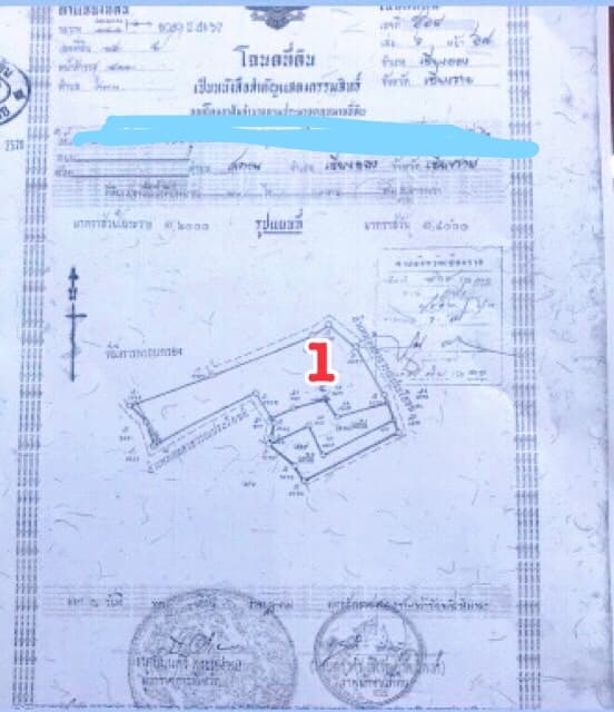 ขายที่ดินเชียงราย เชียงของ 30-0-45.8