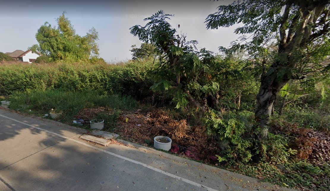 ขายที่ดินปทุมธานี เมืองปทุมธานี 11-1-44.3