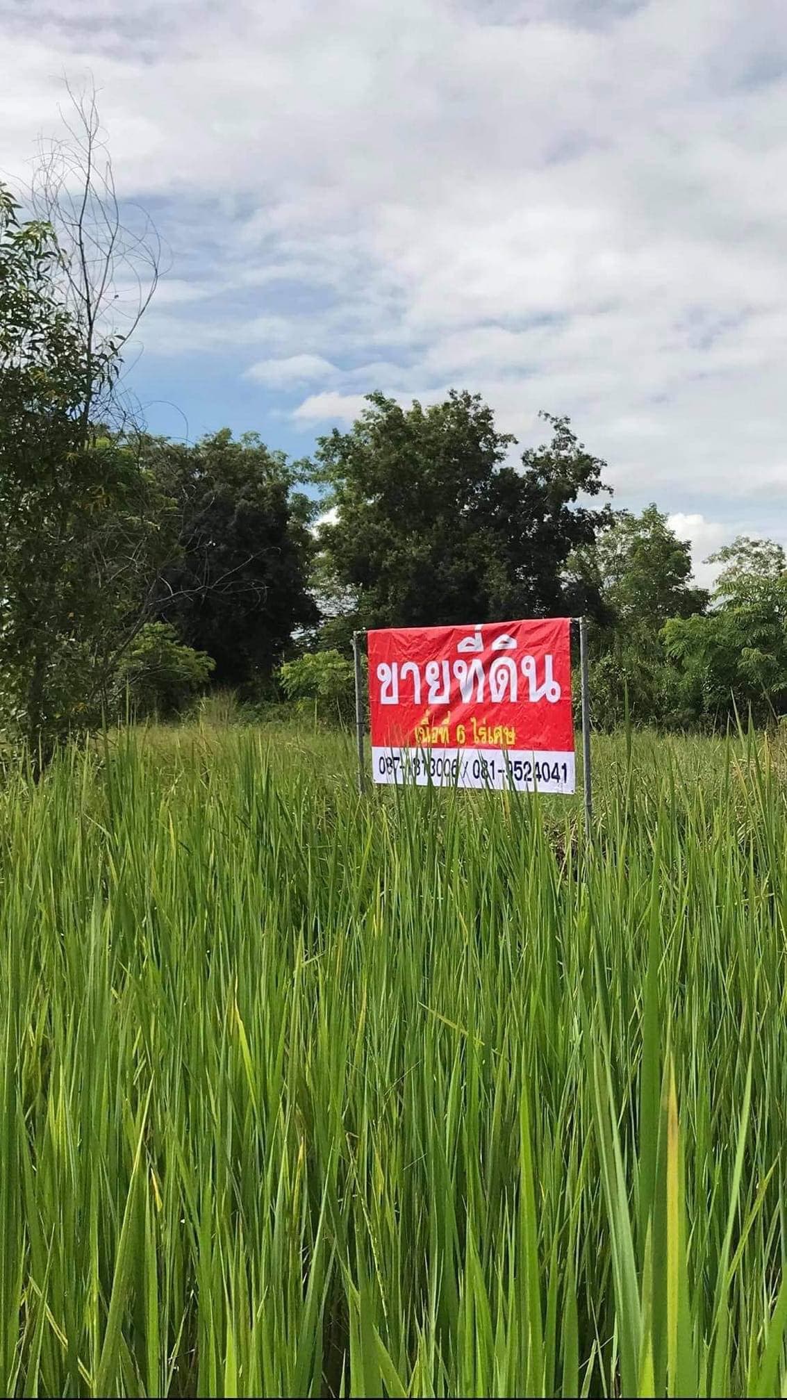 ขายที่ดิน ที่เปล่า เมืองนครนายก