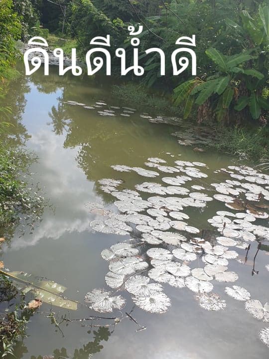 ที่ดิน เพชรบูรณ์ ติดลำธาร 2 งาน