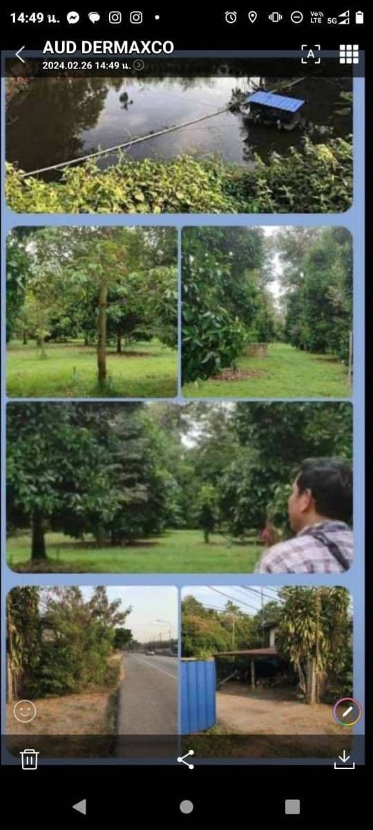ขายที่ดินระยอง อำเภอแกลง (พร้อมบ้านและสวนทุเรียน)