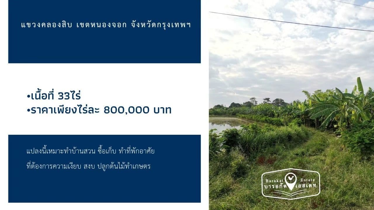 ขายที่ดินหนองจอง กทม. แปลงสวย ราคาสุดพิเศษ