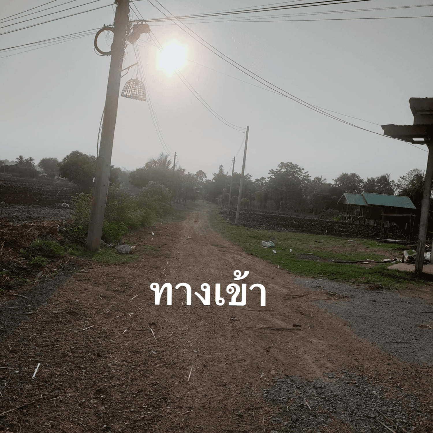 ขายที่ดินนครราชสีมา อำเภอเมือง 