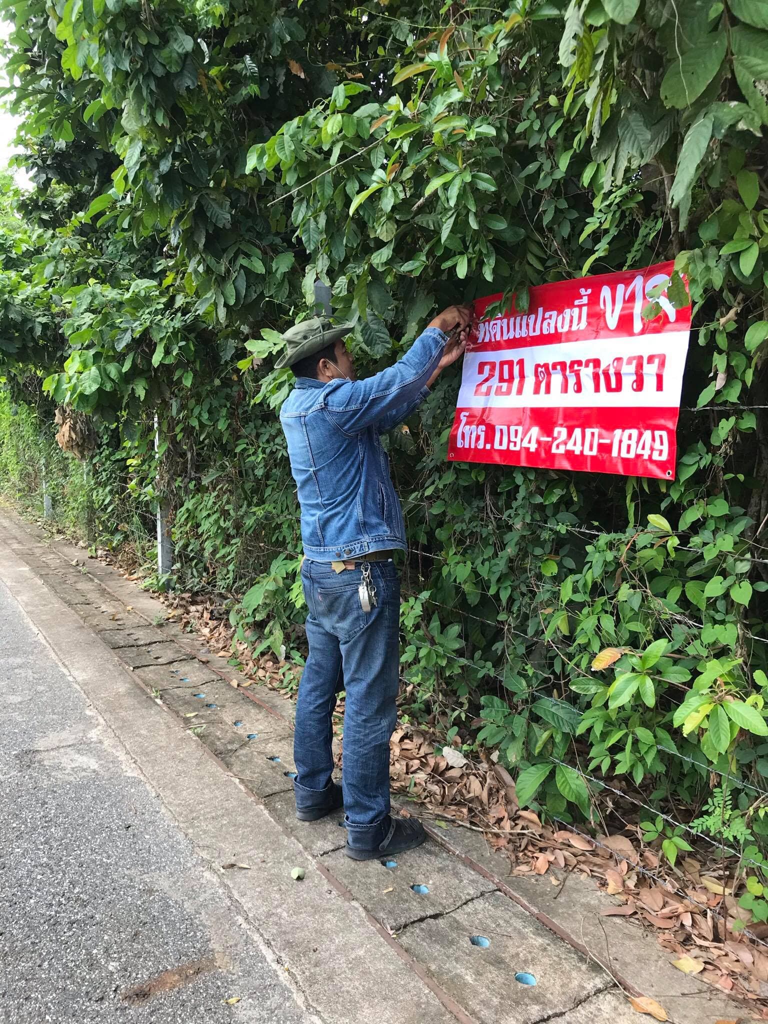ที่ดินเปล่า ชลบุรี 291 ตร.ว