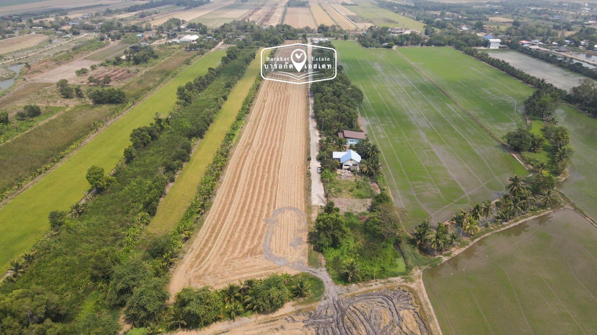 ที่สวย หน้ากว้างติดถนน เขตหนองจอก กรุงเทพฯ