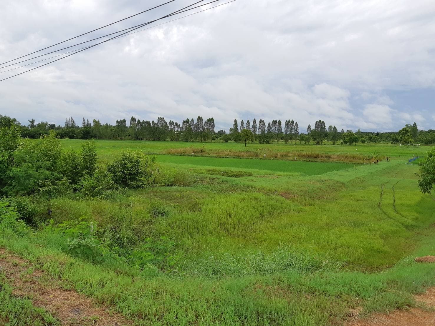 ขายที่ดินขอนแก่น เมืองขอนแก่น 3-0-0