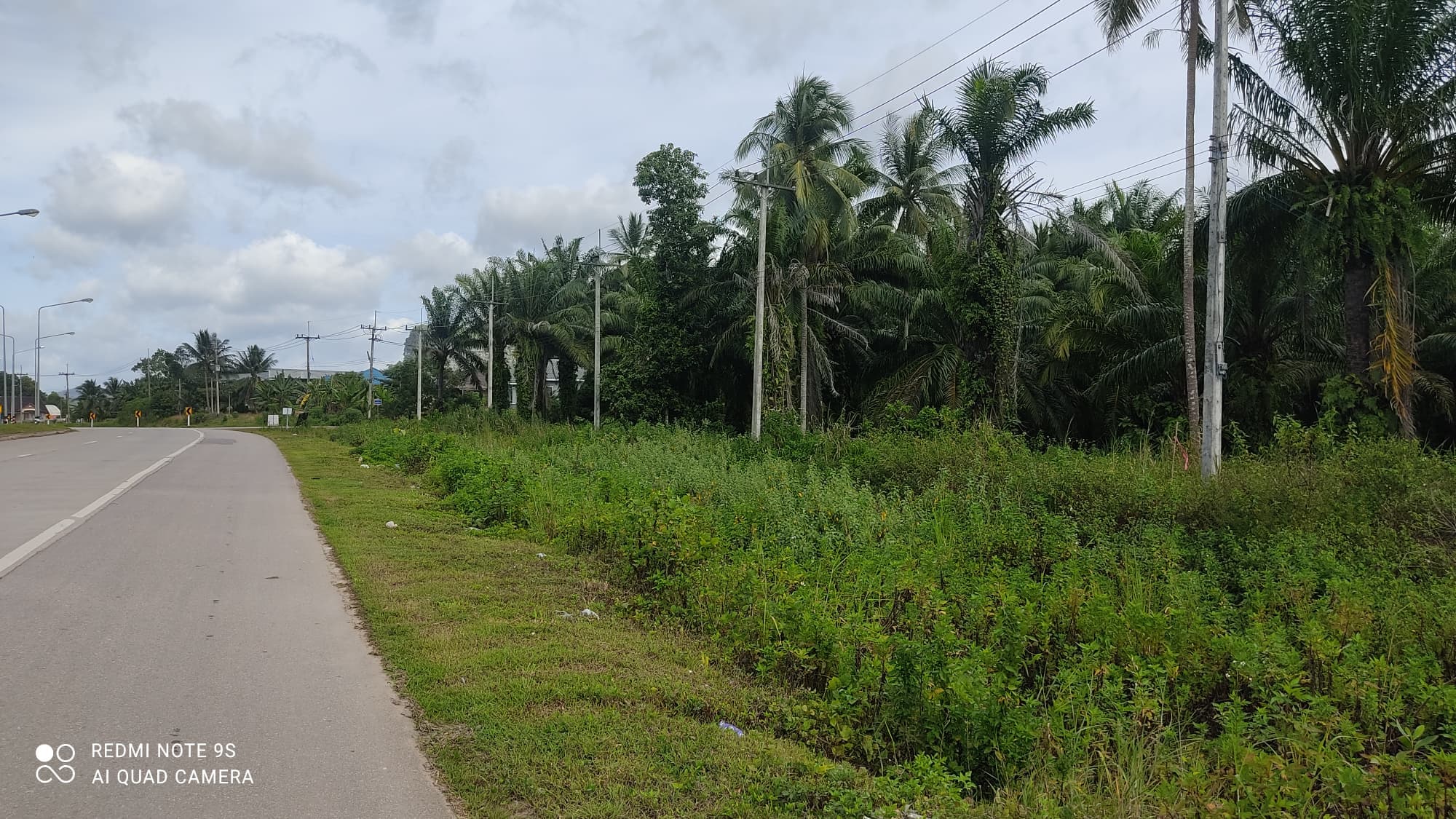 ขายที่ดินพร้อมบ้านชุมพร จ.ชุมพร อ.เมืองชุมพร 3-2-57 ไร่