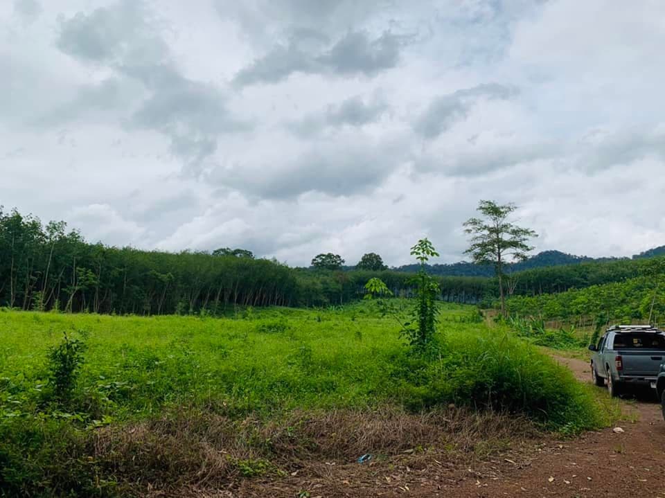 ขายที่ดินระยอง บ้านค่าย 2-3-28