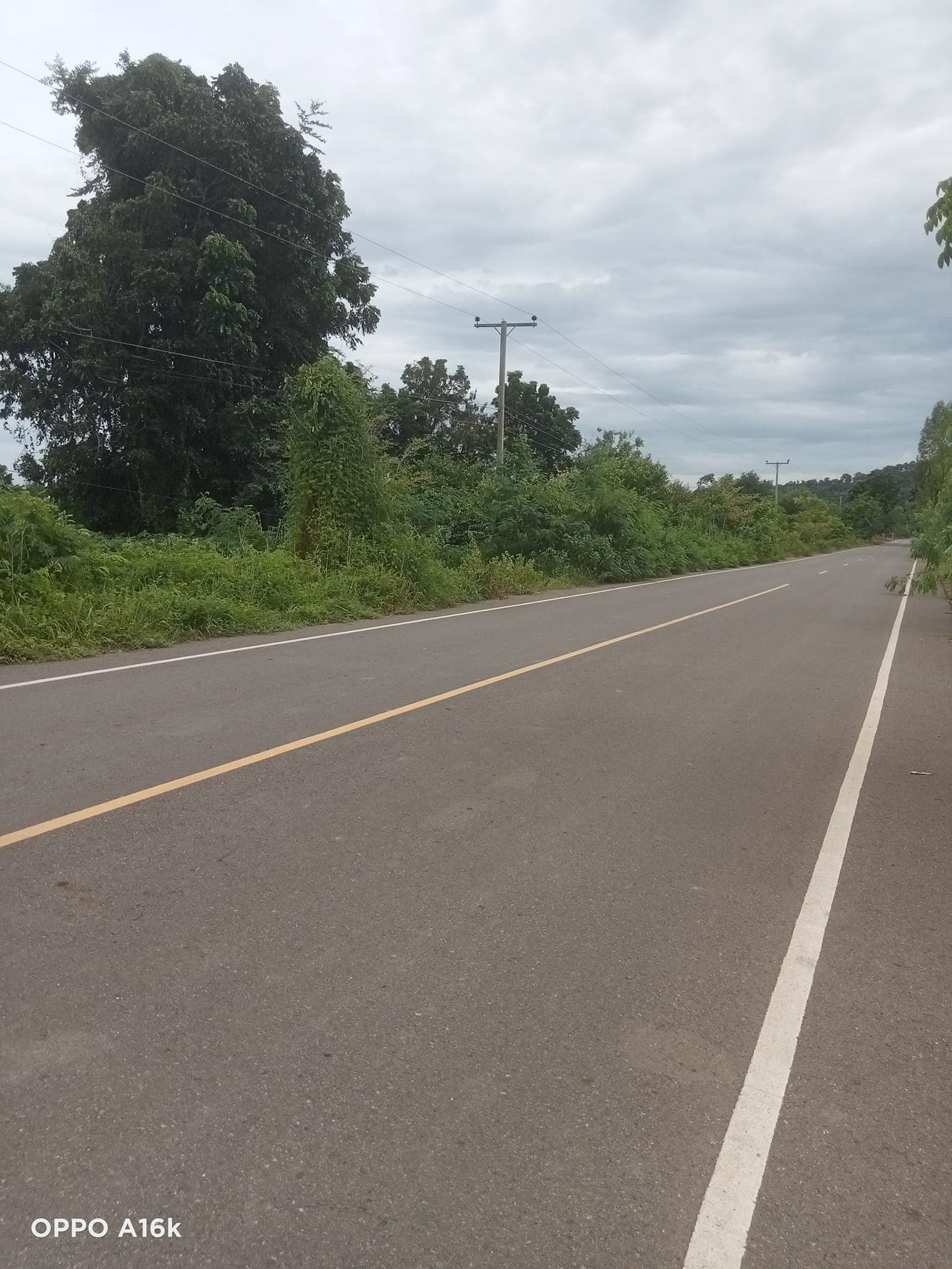 ขายที่ดินชัยนาท วัดสิงห์ 0-2-58