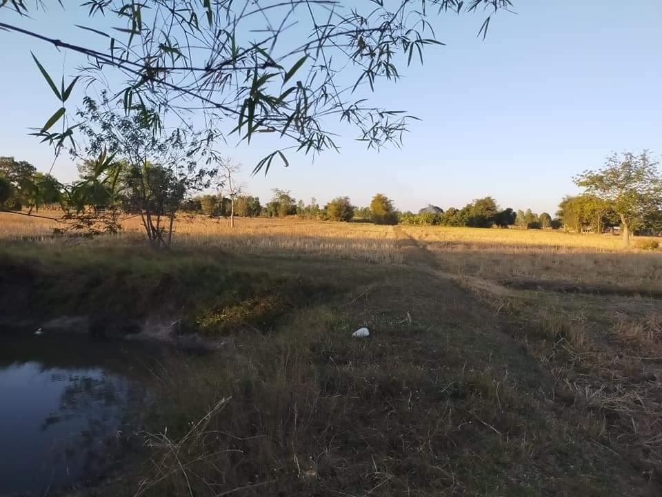 ขายที่ดิน กาฬสินธุ์ 4-1-75 ไร่