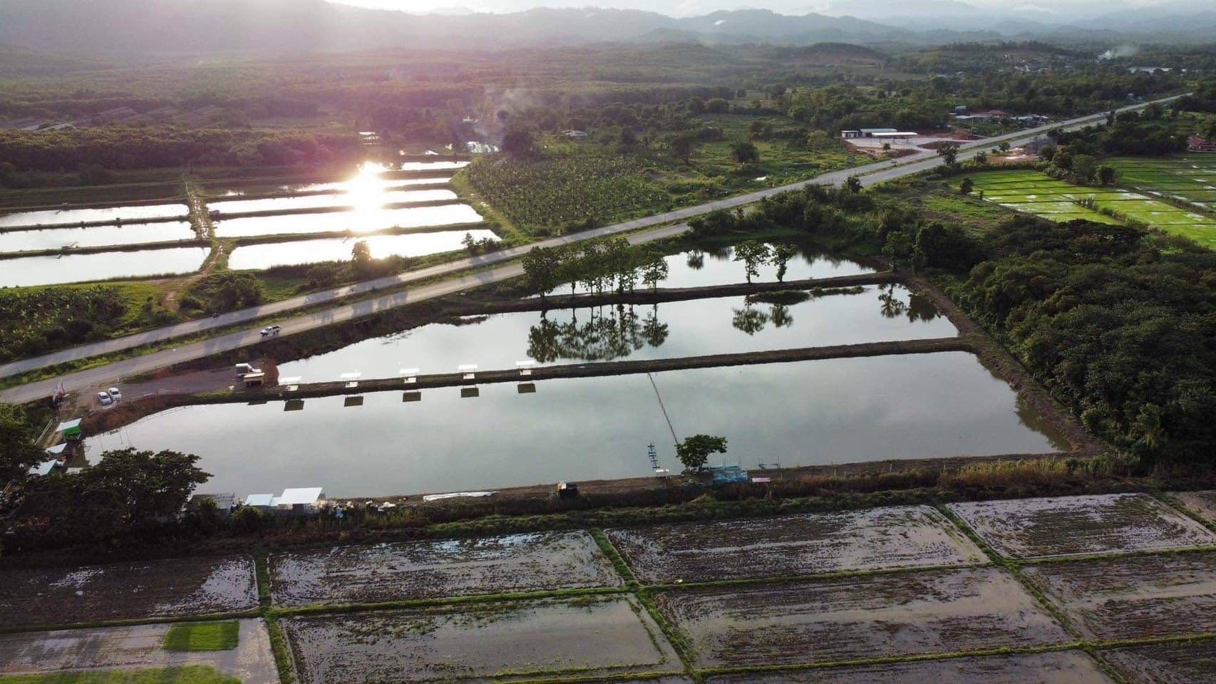 ขายที่ดินเชียงราย อำเภอเมือง ทำเลสวย อยู่ข้างโครงการ one budget ติดบายพาสตะวันตก 24-2-15.6 ไร่.
