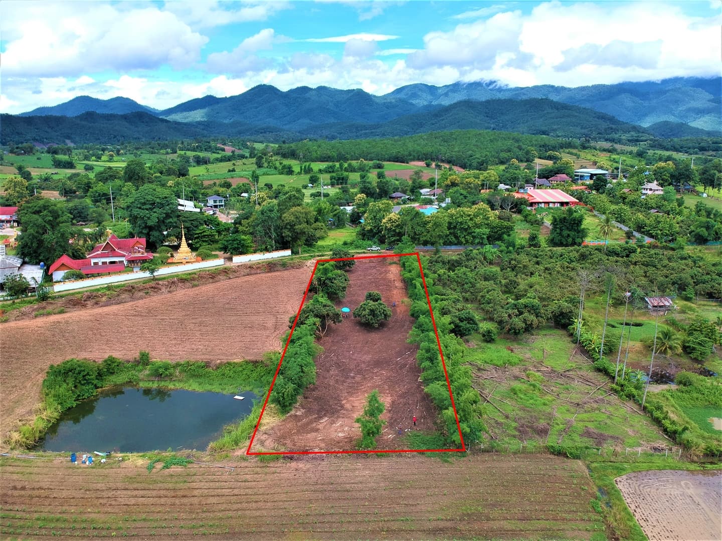 ขายที่ดินเเม่ฮ่องสอน อ.ปาย 90 ตรว.