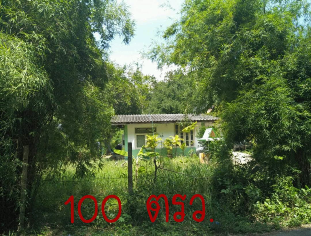 ขายที่ดินหาดทรายน้อย เขาเต่า หัวหิน 100ตรว.