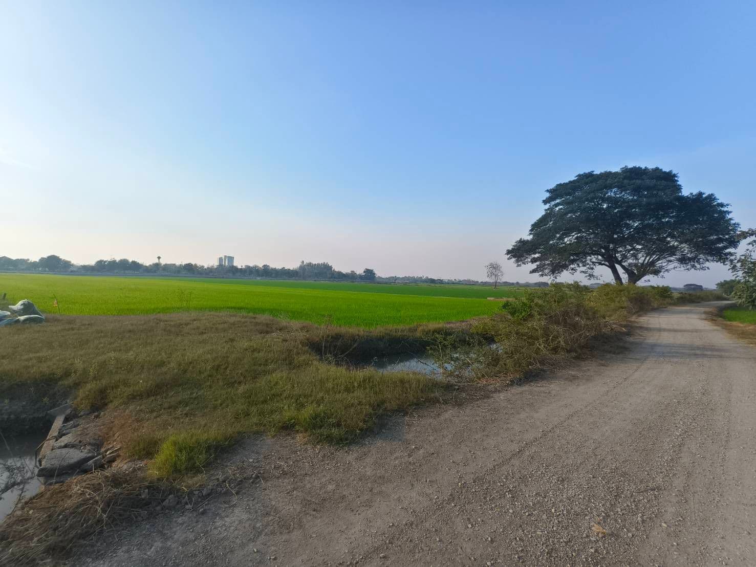 ขายที่ดินสุพรรณบุรี อำเภอเมือง เขตเทศบาลท่าระหัด
