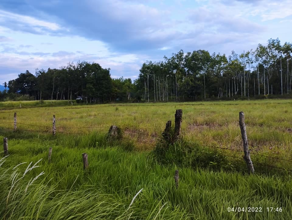 ขายที่ดิน จันทบุรี 4-0-94.6 ไร่