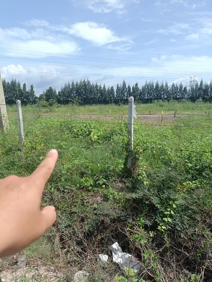ขายที่ดิน ต.บางโทรัด อ.เมือง จ.สมุทรสาคร 6-2-36 ไร่
