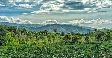 ที่ิดินวิวทิวเขา ด่านช้าง สุพรรณบุรี 6-3-0