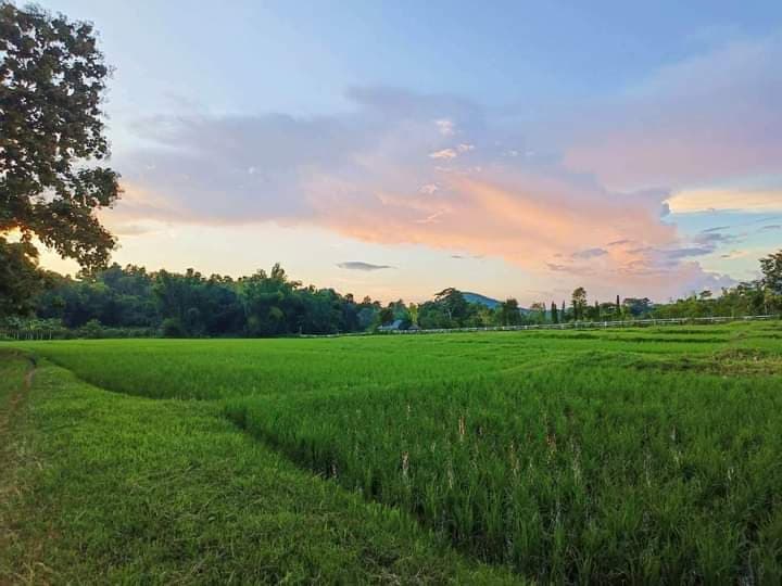 ขายที่ดินเชียงใหม่ แม่ออน 10-3-51