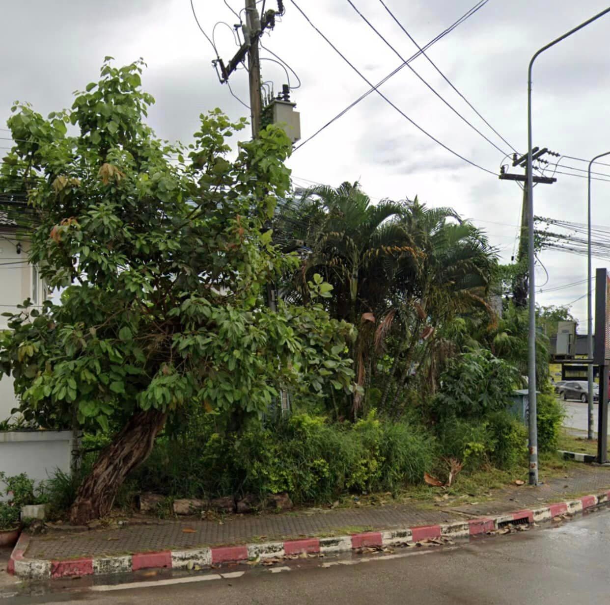 ขายที่ดินเชียงใหม่ เมืองเชียงใหม่ 69 ตร.ว.