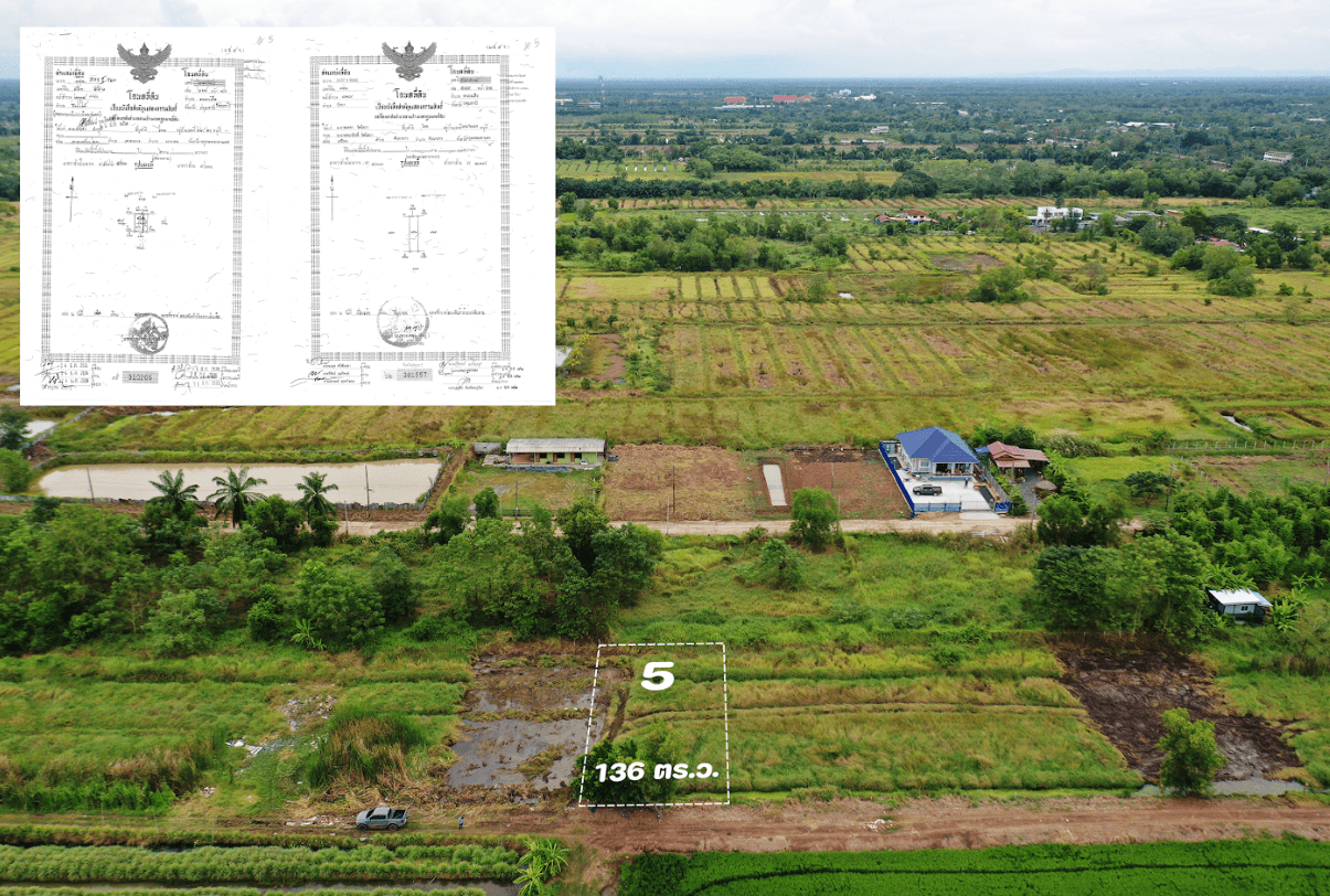 ขายที่ดินปทุมธานี หนองเสือ ที่ดินเปล่า แบ่งขาย คลอง 10 สะพานม่วง