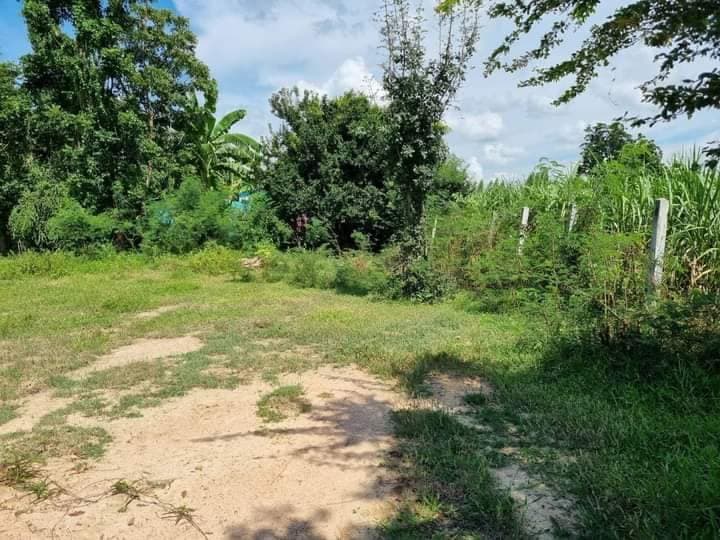 ขายที่ดิน สุพรรณบุรี 1 ไร่
