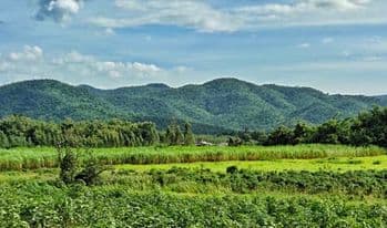ที่ิดินวิวทิวเขา ด่านช้าง สุพรรณบุรี 6-3-0