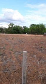ขายที่ดินเปล่าอุดรธานี จ.อุดรธานี อ.หนองหาน 1-2-50.5 ไร่