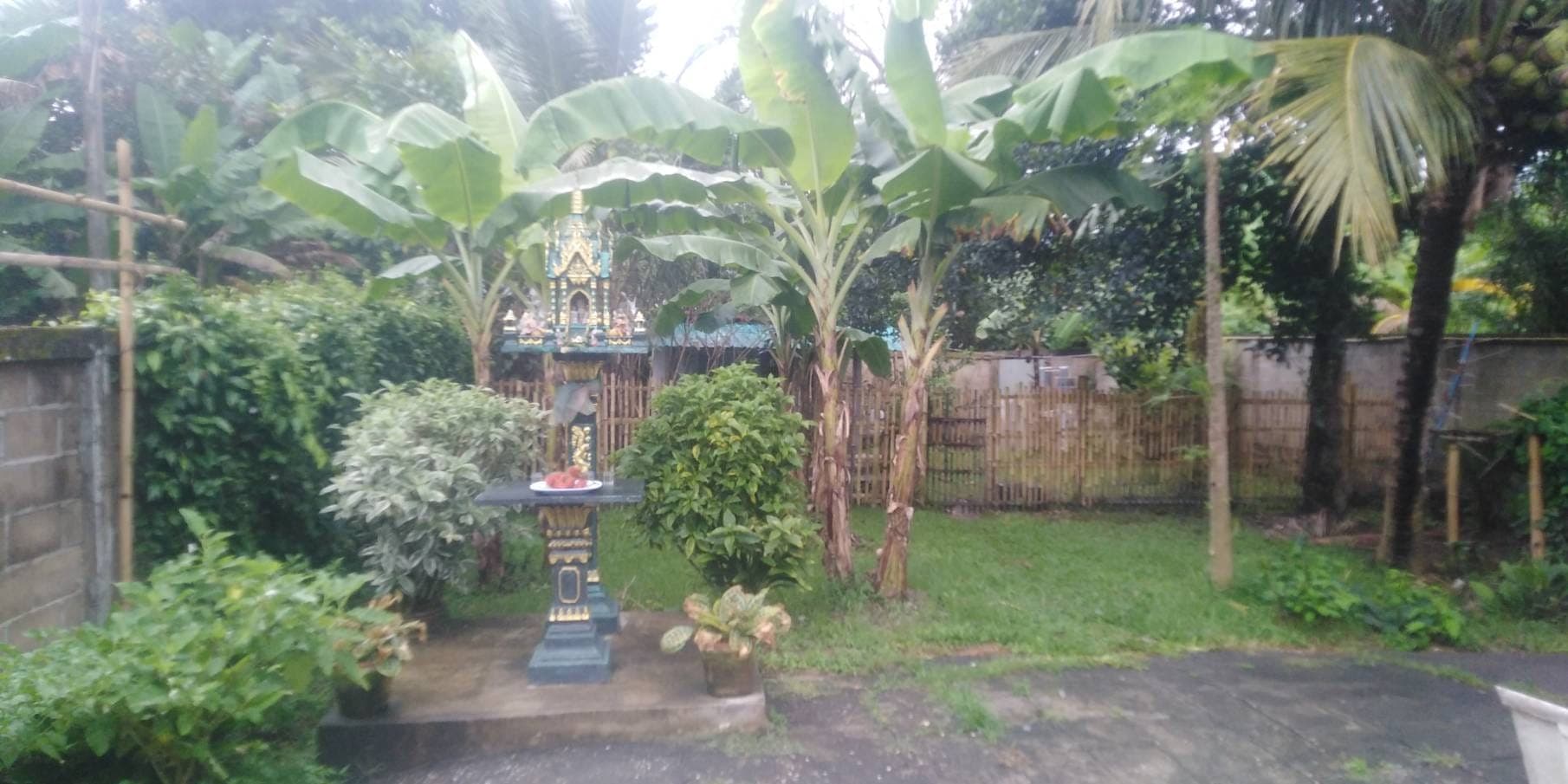 บ้านพร้อมที่ดิน อ.เเม่สาย 0-1-31 ตรว.