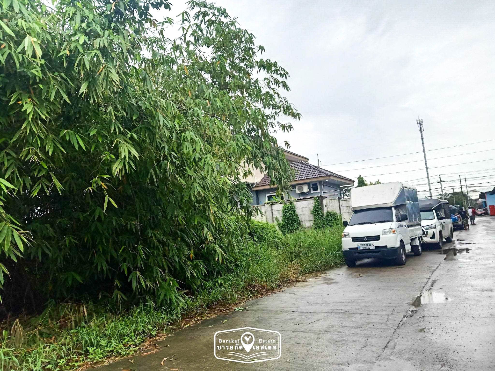 ที่สวย 50 ตร.ว. พร้อมสาธารณูปโภคครบครัน การเดินทางสะดวก ใกล้ เคหะหนองจอก