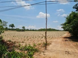 ขายที่ดินอุดรธานี จ.อุดรธานี อ.บ้านดุง 35-1-49 ไร่