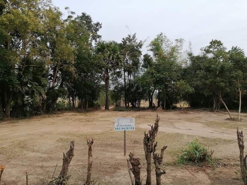 ขายที่ดินยโสธร เมืองยโสธร 4-3-28.9