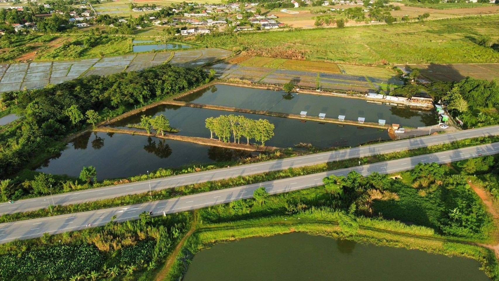 ขายที่ดินเชียงราย อำเภอเมือง ทำเลสวย อยู่ข้างโครงการ one budget ติดบายพาสตะวันตก 24-2-15.6 ไร่.