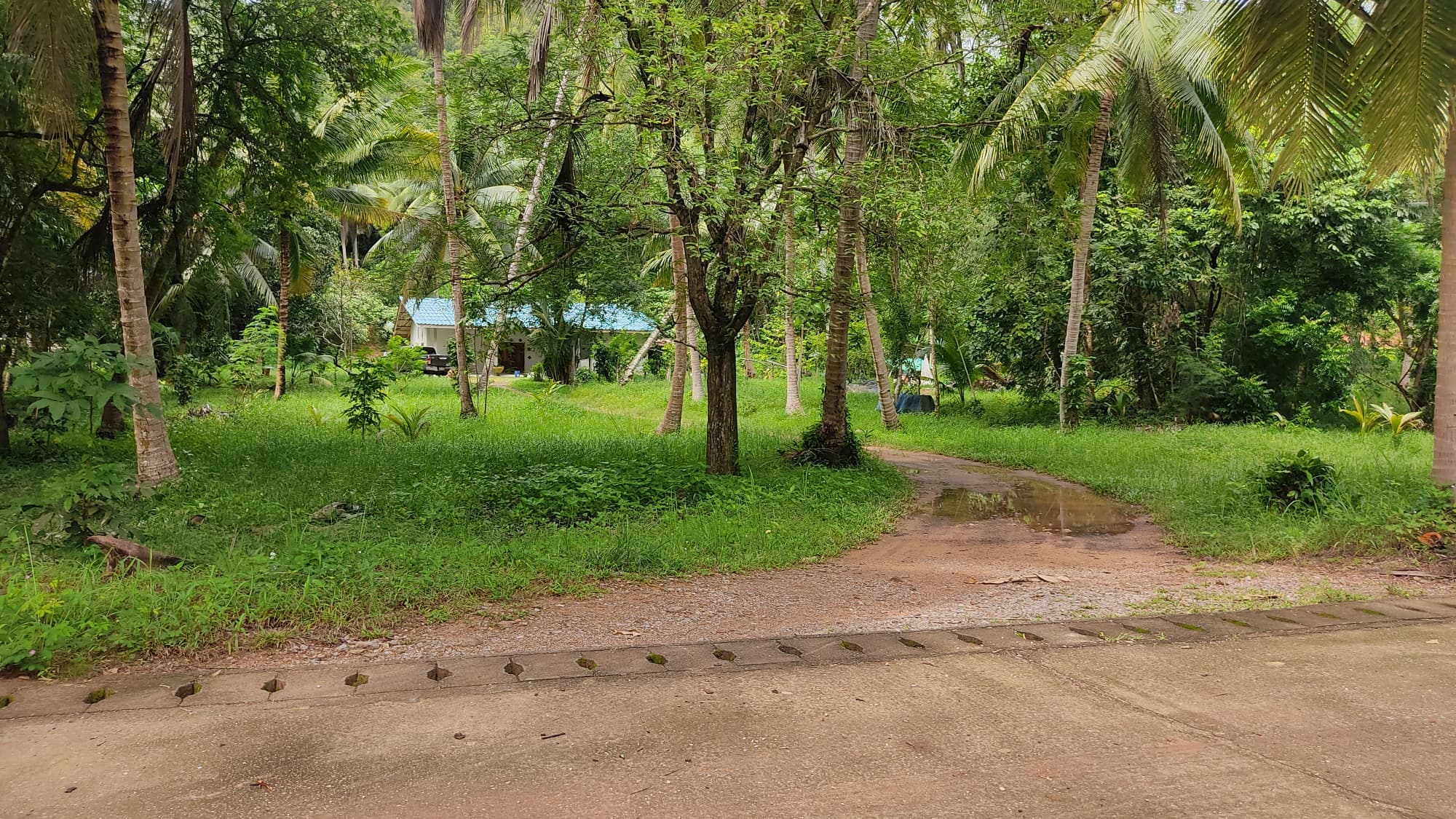 บ้านพร้อมที่ดินชุมพร อ.เมืองชุมพร จ.ชุมพร