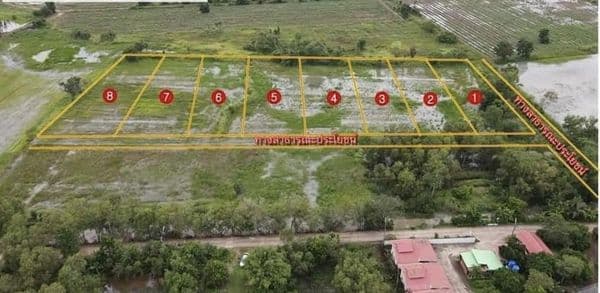 ที่ดินราคาถูก ปราจีนบุรี 10-1-25