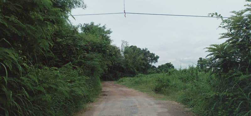 ขายที่ดินจัดสรร ระยอง0-1-0