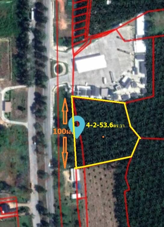 ขายที่ดิน สุราษฎร์ธานี 4-2-53.6 ไร่