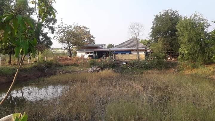 ขายบ้านสวน บ้านน้อย 2 หลัง บนพื้นที่สวน+บ่อปลา+แปลงนา ขอนแก่น