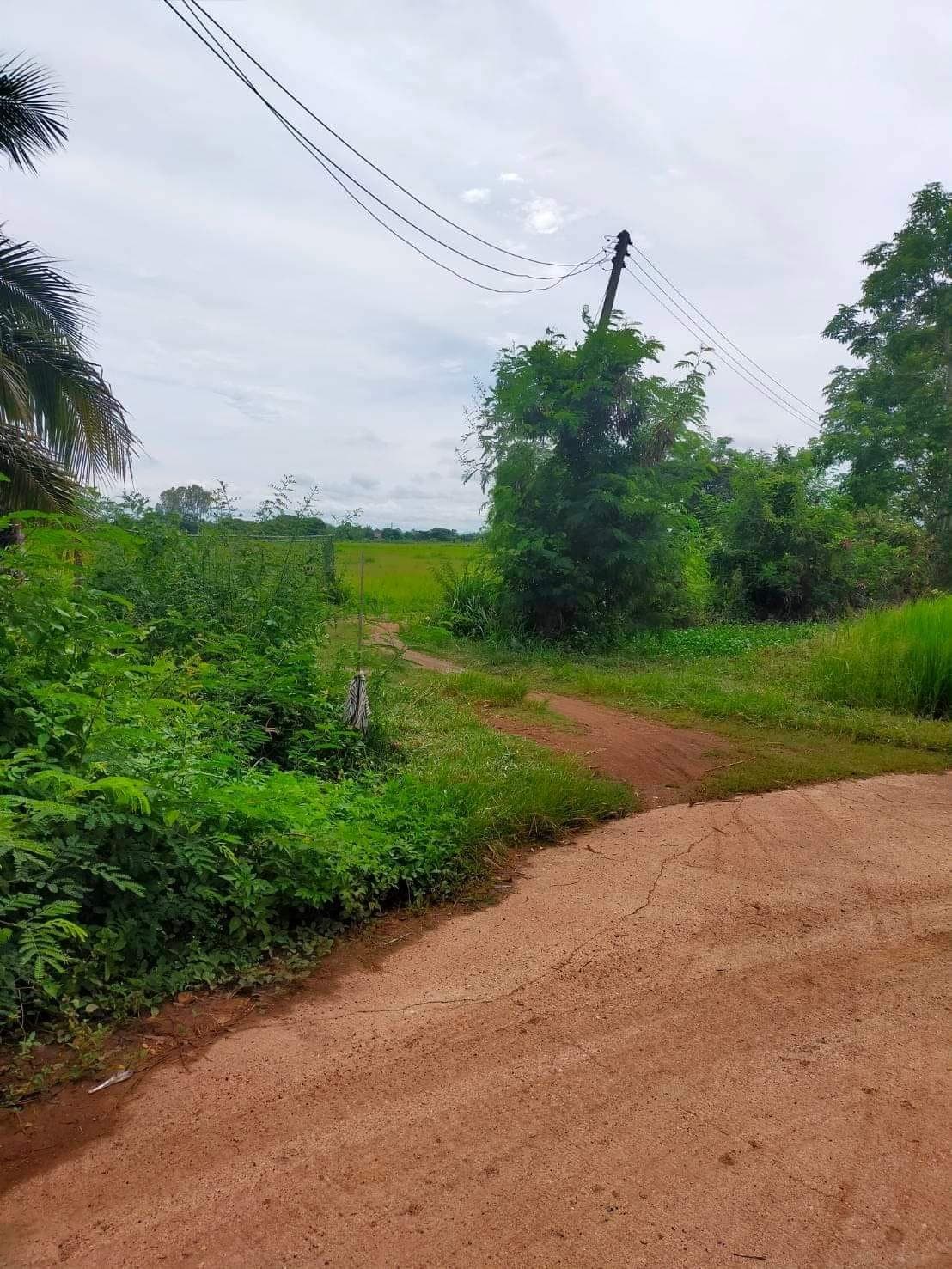 ขายที่ดินลำปาง เมืองลำปาง 8-1-39