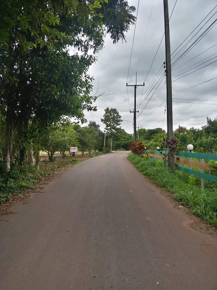 ที่ดินเป็นสวนมะยงชิด ปราจีนบุรี 1 ไร่