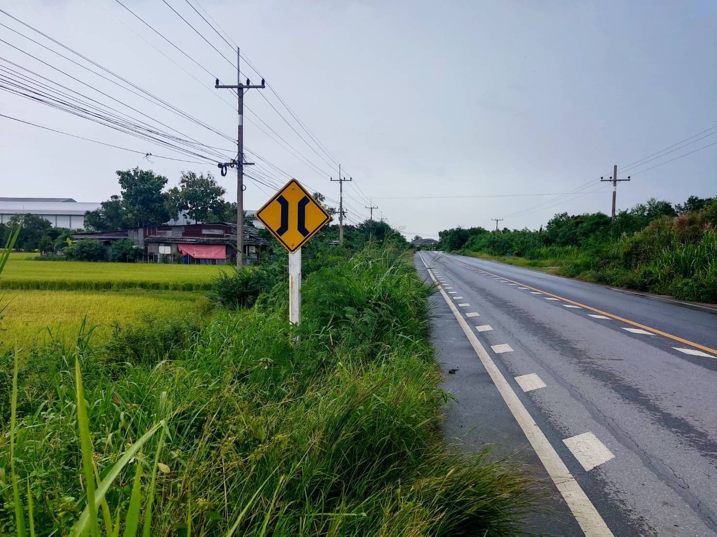 ที่ดินติดถนนลาดบัวหลวง-ไม้ตราขายยกแปลง 10 ไร่ 96 ตร.ว.