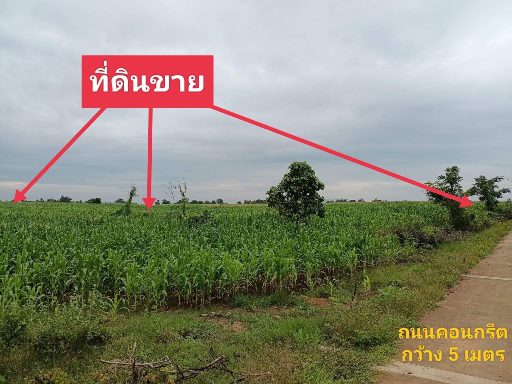ขายที่ดิน ตาก 141-2-35 ไร่