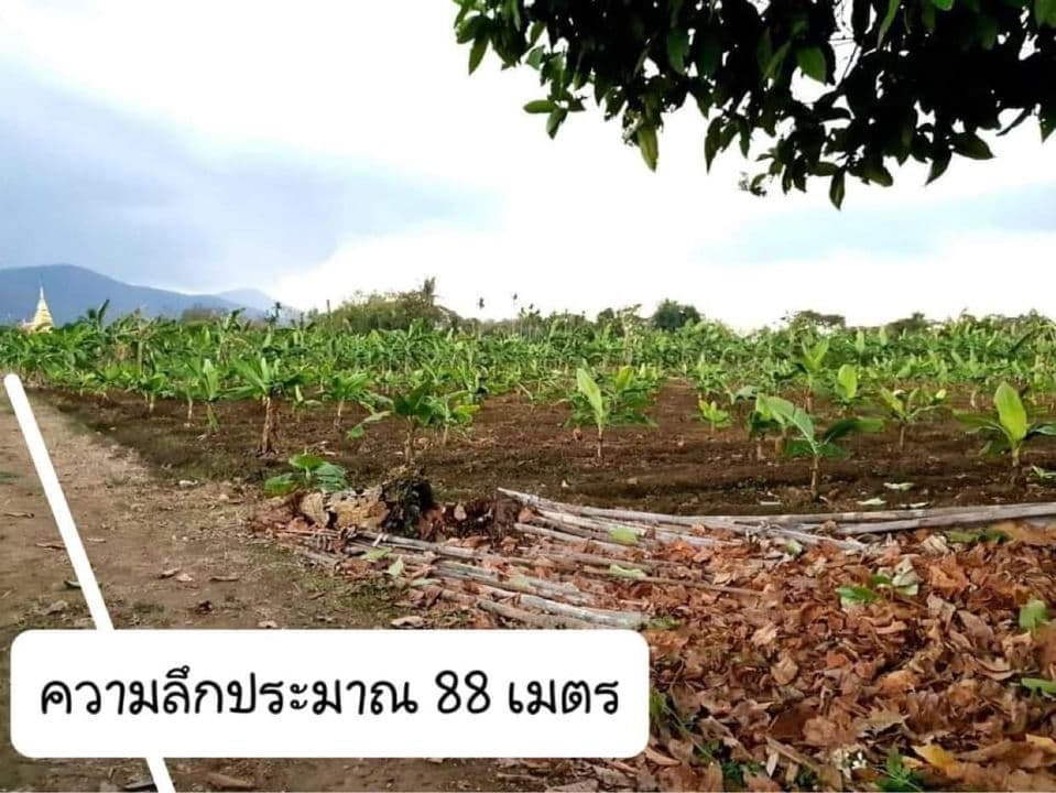 ขายที่ดินเชียงใหม่ เข้าทางเขื่อนแม่งัด เชียงใหม่ อ.เเม่เเตง 2-2-54