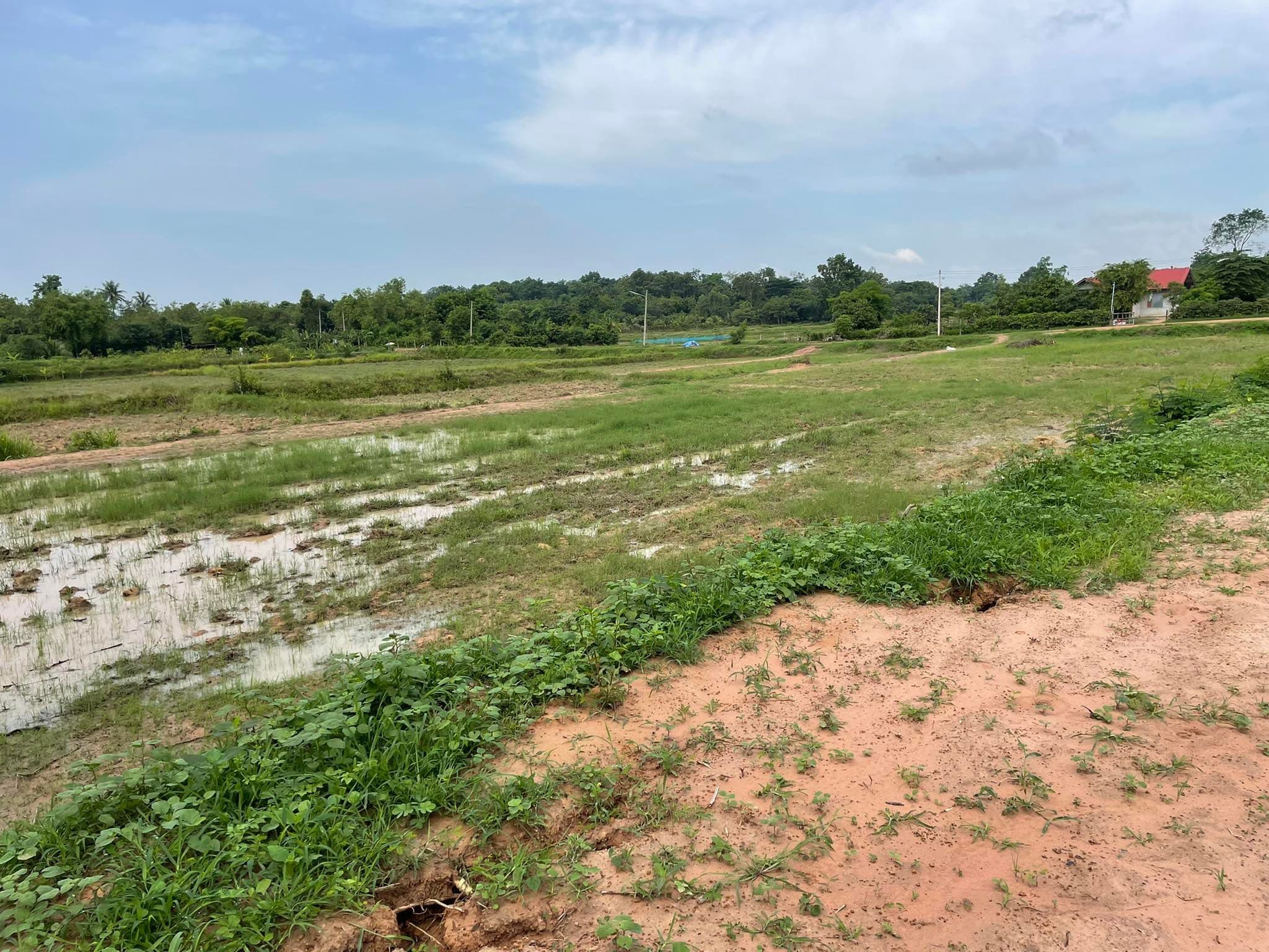 ขายที่ดิน ที่เปล่า เมืองขอนแก่น 4-0-0
